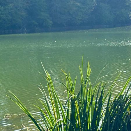 Lac De Lumiere. Relax With Rural Lakeside Living Herry Eksteriør bilde