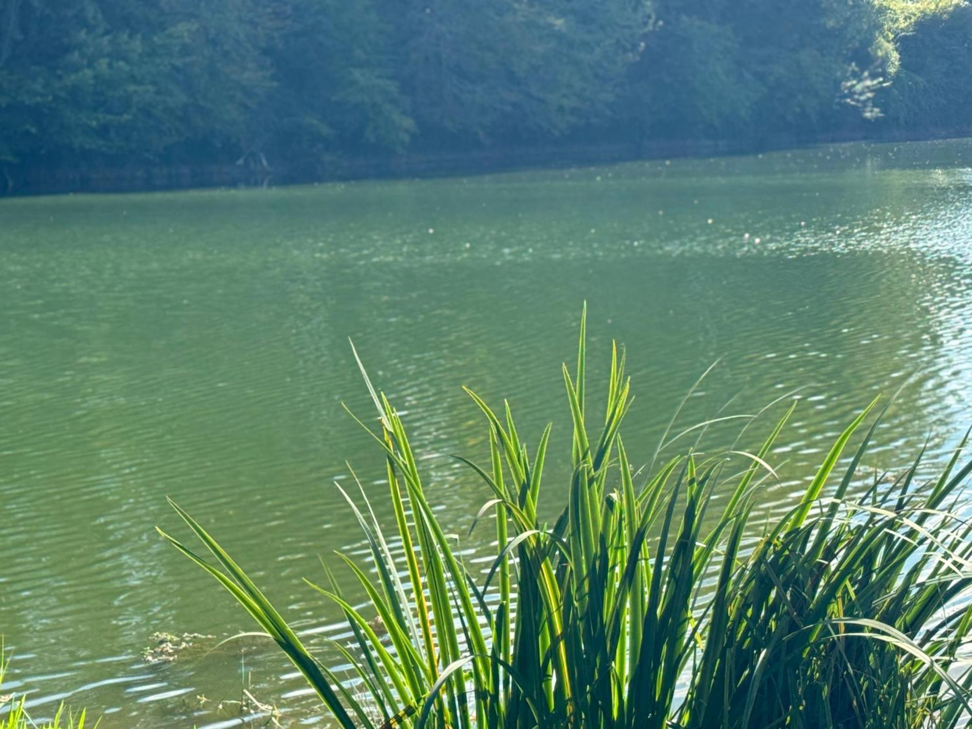 Lac De Lumiere. Relax With Rural Lakeside Living Herry Eksteriør bilde